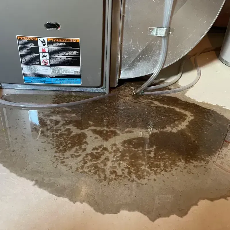 Appliance Leak Cleanup in Hardin County, IL